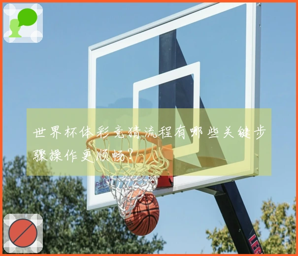 世界杯体彩竞猜流程有哪些关键步骤操作更顺畅?